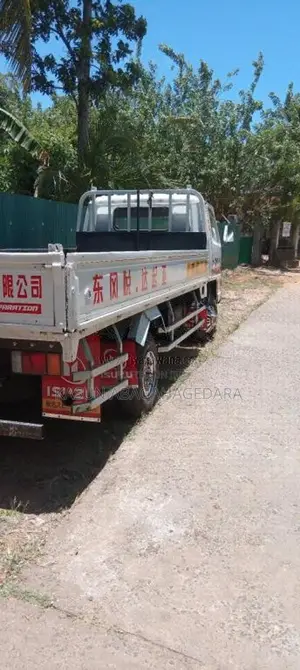 Isuzu ELF 1988 Lorry (Used)