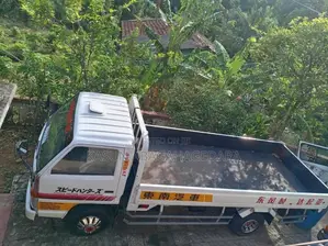 Isuzu ELF 1988 Lorry (Used)