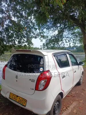 Suzuki Alto 2015 Car (Used)