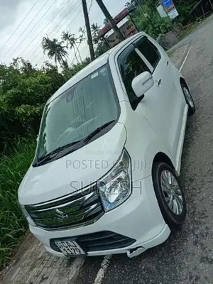Suzuki Wagon R 2014 Car (Used)