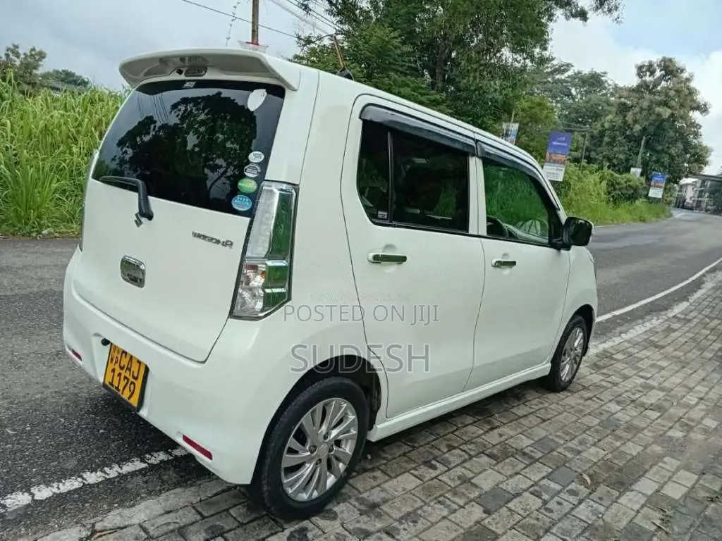 Suzuki Wagon R 2014 Car (Used)