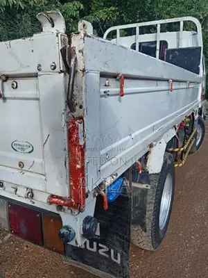 Isuzu 250 2026 Lorry (Used)