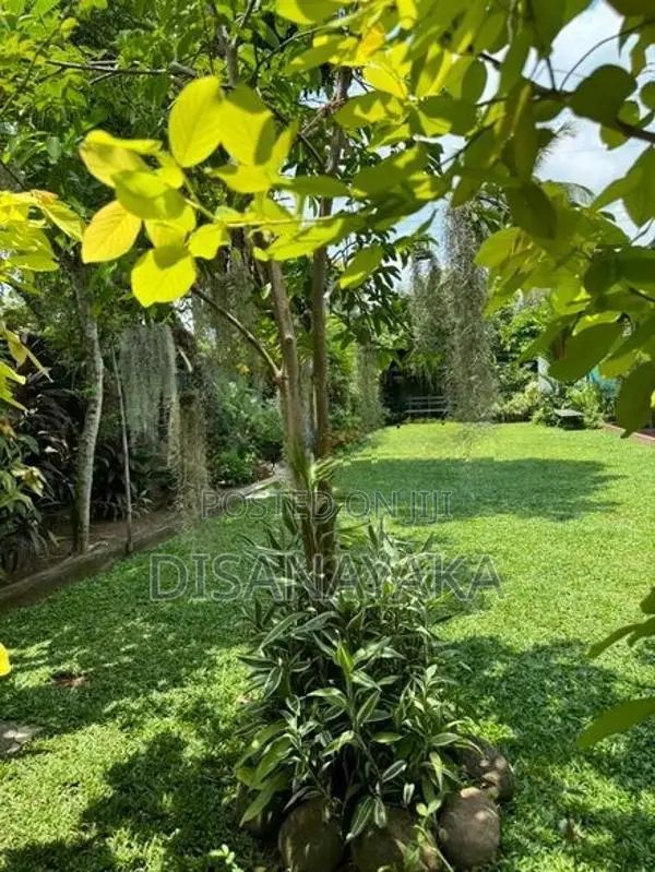 Single Storey House for Sale Koswatte Ds1548