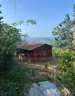 Matale Alawatugoda Sinamon Land for Sale ( RLS - 698 )