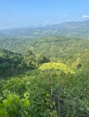 Matale Alawatugoda Sinamon Land for Sale ( RLS - 698 )