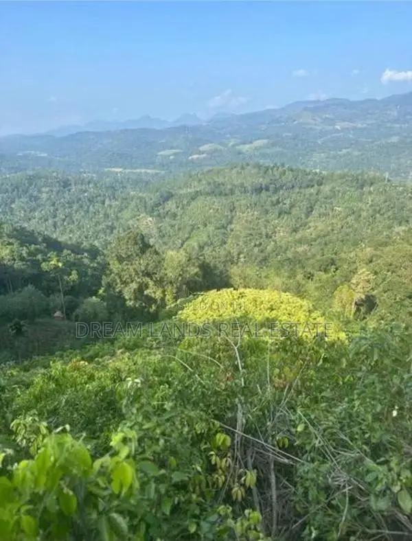 Matale Alawatugoda Sinamon Land for Sale ( RLS - 698 )