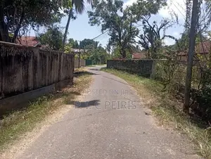 25 Per.2 blocks,50 Per. Land for sale Negombo, Rukaththana ju.Gampaha.