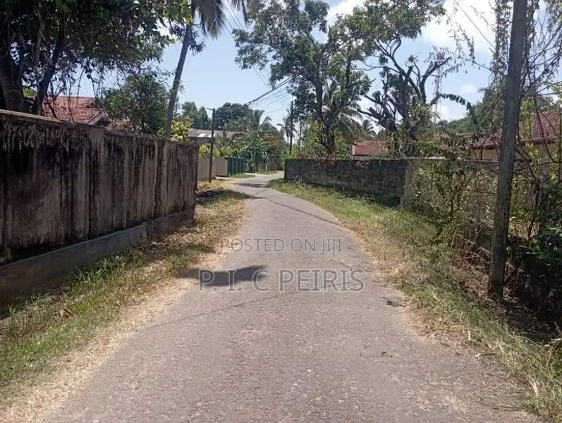 25 Per.2 blocks,50 Per. Land for sale Negombo, Rukaththana ju.Gampaha.