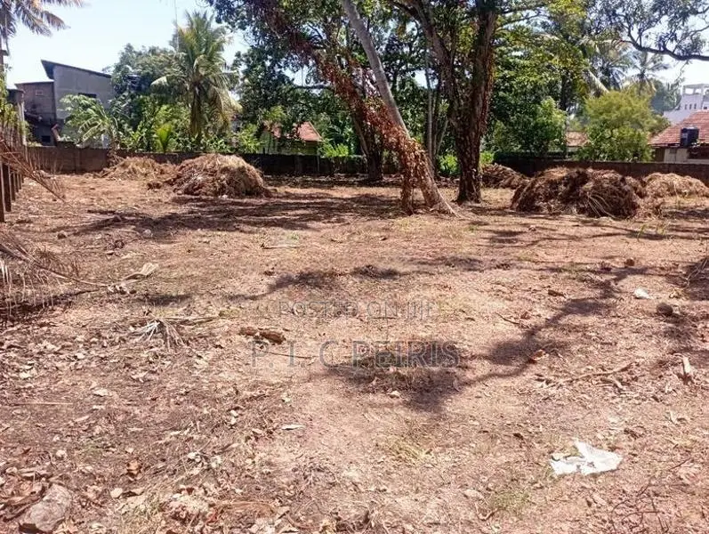 25 Per.2 blocks,50 Per. Land for sale Negombo, Rukaththana ju.Gampaha.