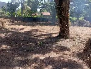 25 Per.2 blocks,50 Per. Land for sale Negombo, Rukaththana ju.Gampaha.