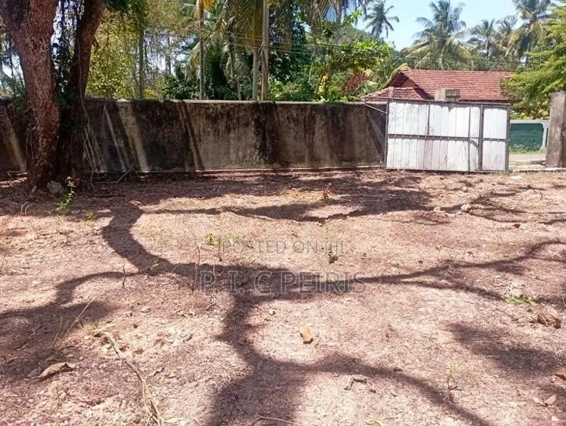 25 Per.2 blocks,50 Per. Land for sale Negombo, Rukaththana ju.Gampaha.