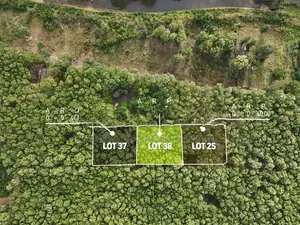 Mature Teak Plantation for Sale Near Anuradhapura Town