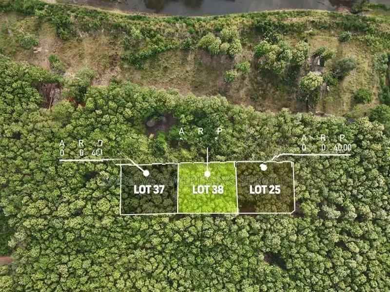 Mature Teak Plantation for Sale Near Anuradhapura Town