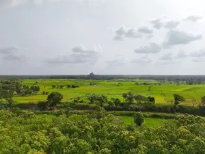 Mature Teak Plantation for Sale Near Anuradhapura Town