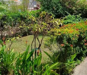 COLOMBO 6 WELLAWATTA BOSWEL PLACE PRIME 14P OF LAND WITH HOUSE FOR SAL