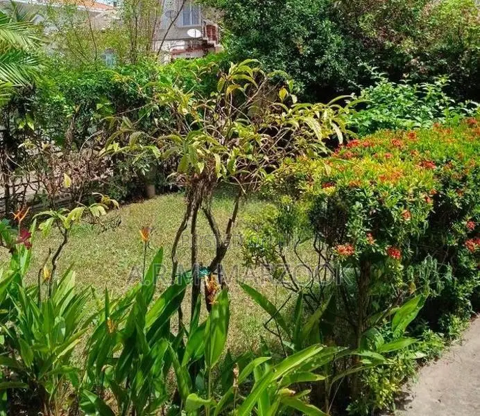 COLOMBO 6 WELLAWATTA BOSWEL PLACE PRIME 14P OF LAND WITH HOUSE FOR SAL
