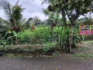 80 Perch Land for Sale – Hokandara