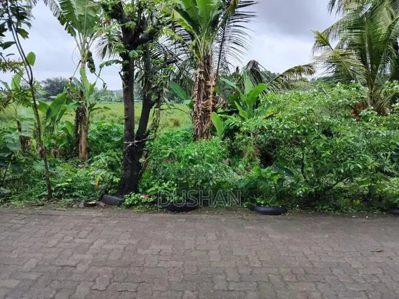 80 Perch Land for Sale – Hokandara