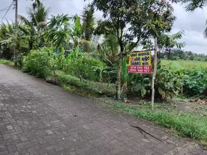 80 Perch Land for Sale – Hokandara