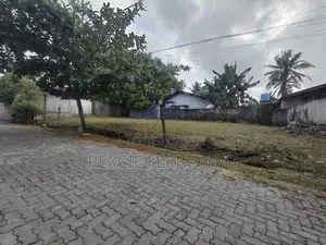 Bear Land for Sale