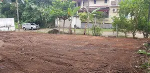 Bear Land for Sale