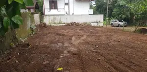 Bear Land for Sale