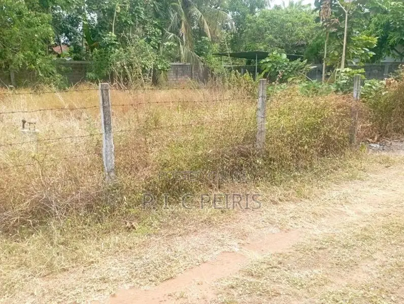 12.5 Perches Land for sale in Palangatura,kochchikade .Gampaha.