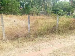 12.5 Perches Land for sale in Palangatura,kochchikade .Gampaha.