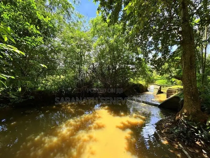 House in Gampaha Balummahara Facing to a River- Stream