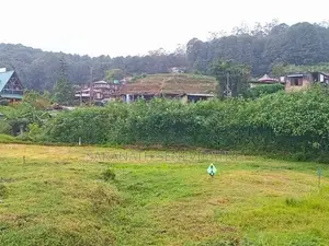 Land For Sale From High Residential Blackpool Town Nuwaraeliya