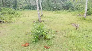 Land in Meegoda Homagama Werulagoda Rd