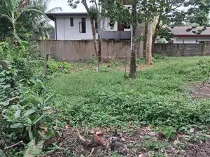 Land for sale at Polgasowita Kesbewa Heraliyawala