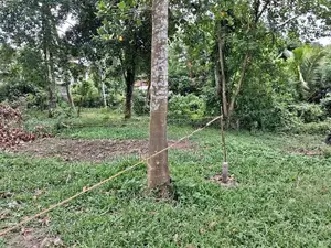 Land for sale at Polgasowita Kesbewa Heraliyawala