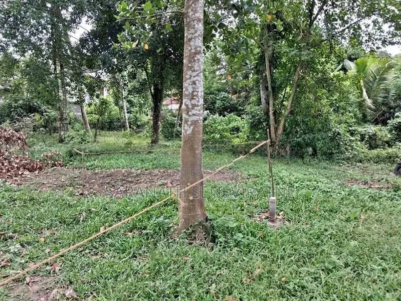 Land for sale at Polgasowita Kesbewa Heraliyawala