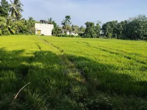 දැනට පදිංචි තනිමහල් නිවසක් විකිනිමට කොටිටාවෙි පොල්ගස්ඕවිට