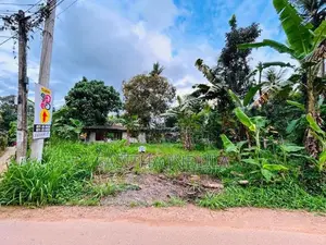Land Sale Salawa in Avissawella
