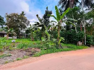 Land Sale Salawa in Avissawella