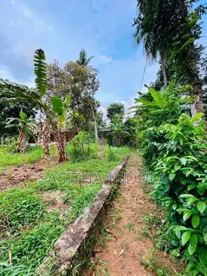 Land Sale Salawa in Avissawella