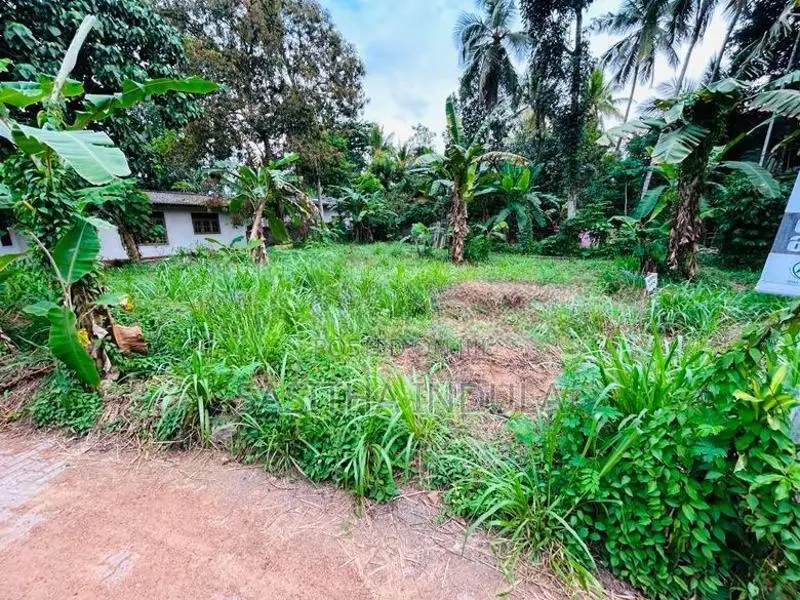 Land Sale Salawa in Avissawella