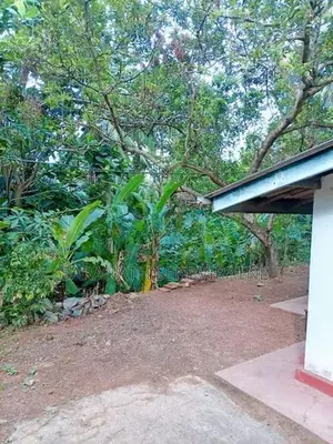 Land With House For Perch Value Kiribathgoda Makola Rd Pamunuwila