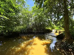 House in Gampaha Balummahara Facing to a River- Off Oruthota Rd