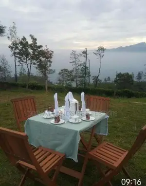 Kandy Hewahata Tea Estate for Sale ( RLS - 796 )