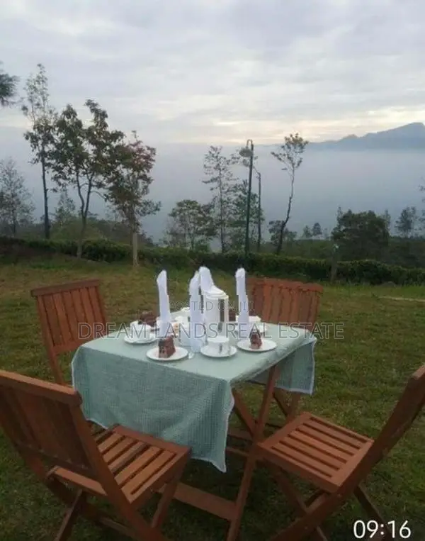 Kandy Hewahata Tea Estate for Sale ( RLS - 796 )