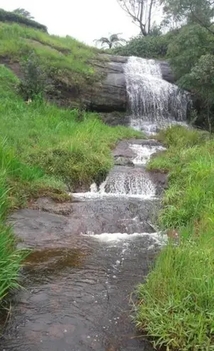 Kandy Hewahata Tea Estate for Sale ( RLS - 796 )