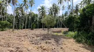 COMMERCIAL LAND FOR RENT IN MINUWANGODA (SP1057A)