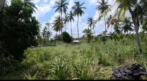 COMMERCIAL LAND FOR RENT IN MINUWANGODA (SP1057A)