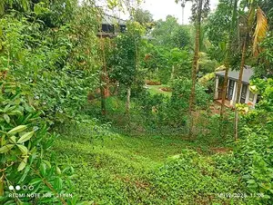 PRIME PROPERTY FOR URGENT SALE – PRIMROSE GARDENS, KANDY 🏡