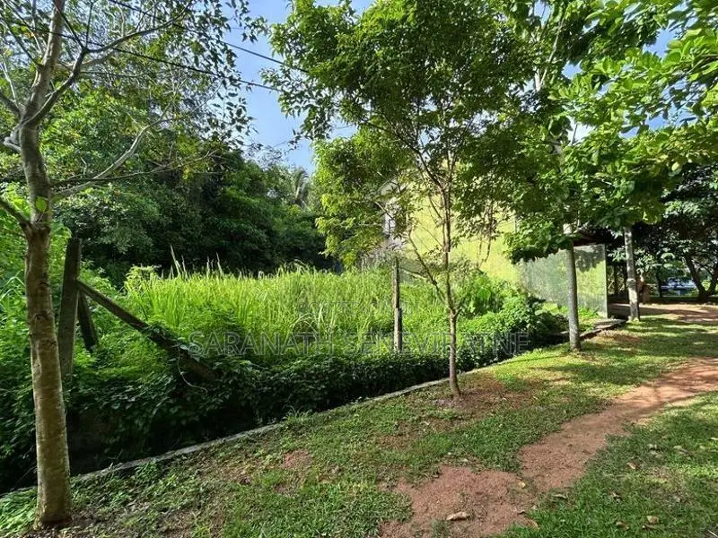 Land in Piliyandala Dampe Rd Near Bolgoda Lake
