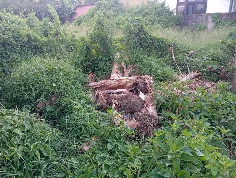 Land for sale in attidiya dehiwela