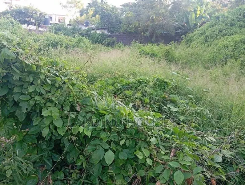 Land for sale in attidiya dehiwela
